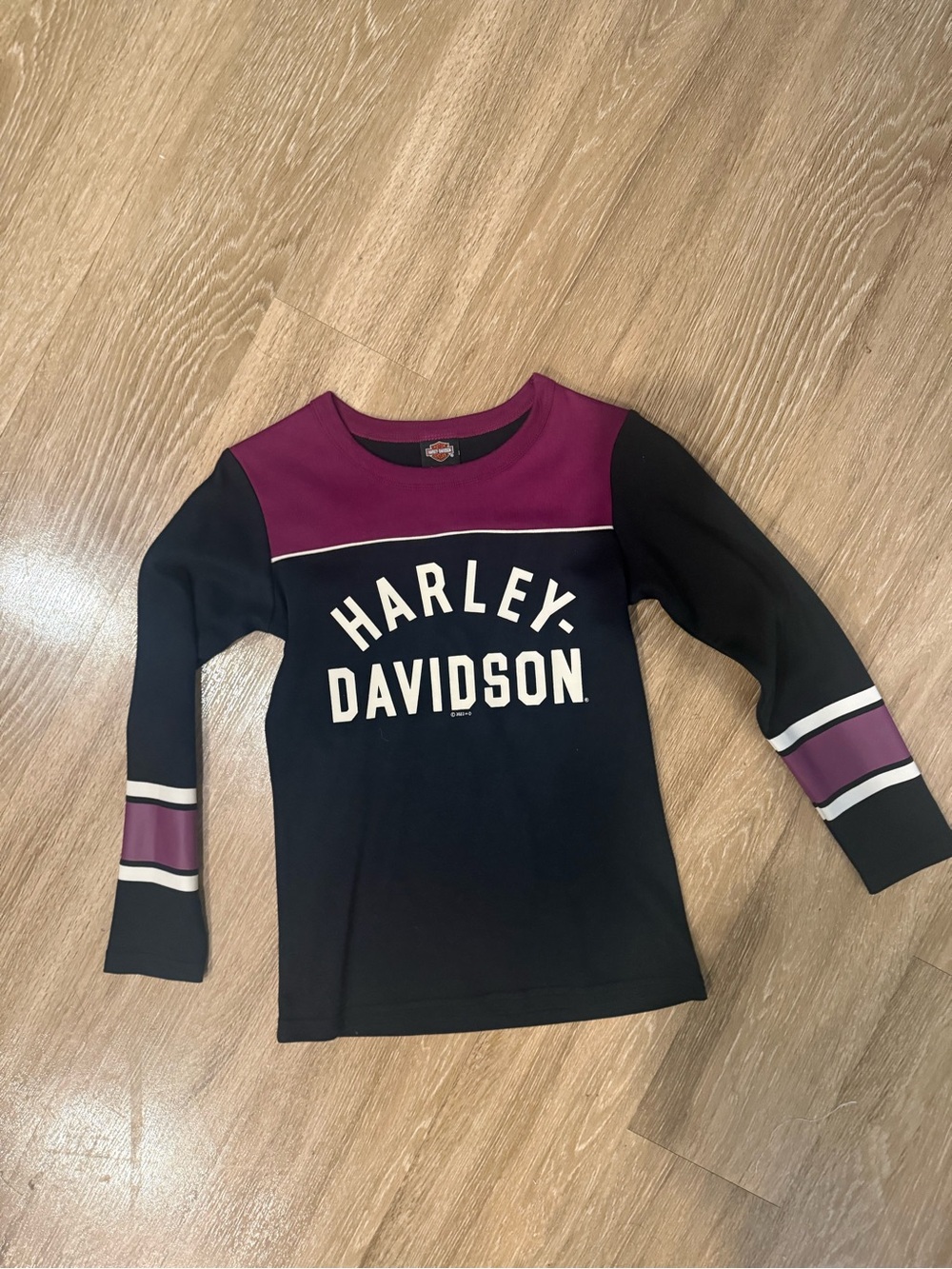Harley-Davidson Black & Purple Long Sleeve Logo Tee
